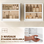 Armoire Murale Miroir Salle de Bain 2 étagères dim. 48L x 14l x 45H cm Panneaux Particules MDF Blanc