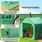 Mini serre pop-up petite serre légumes plante fleurs avec porte à fermeture éclair en PE 150 x 148 x 148 cm vert