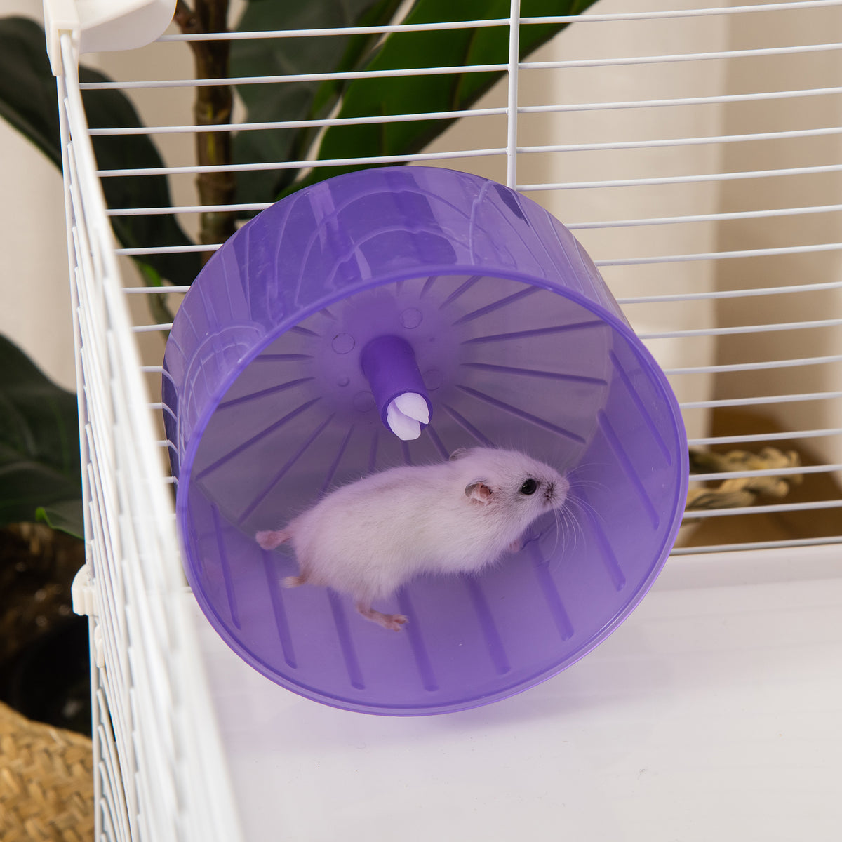 Cage à hamster rat rongeur 3 niveaux avec tunnel, biberon eau, roue, maisonnette, échelles dim. 59L x 36l x 47H cm