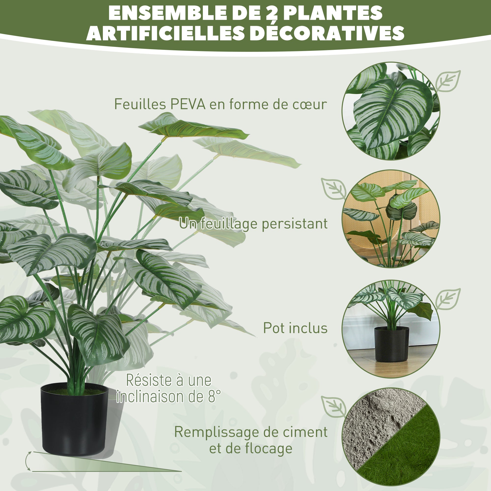 Texte alternatif de l'image
