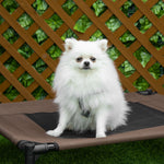 Lit pour chien chat lit de camp grand confort sur pieds tissu oxford textilène micro-perforé