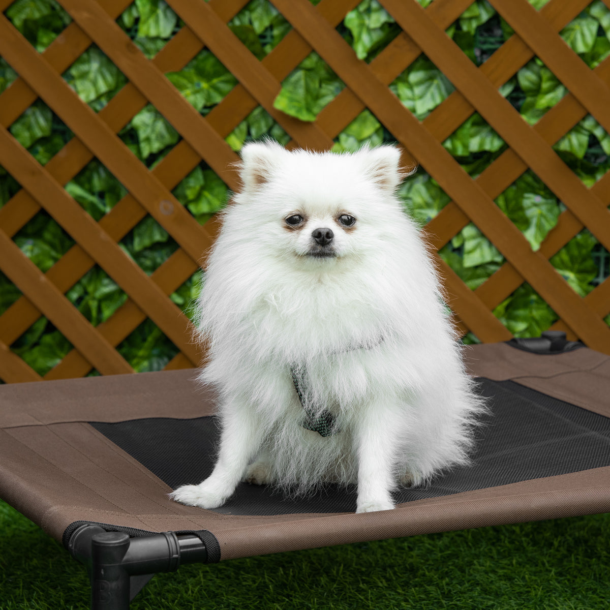 Lit pour chien chat lit de camp grand confort sur pieds tissu oxford textilène micro-perforé