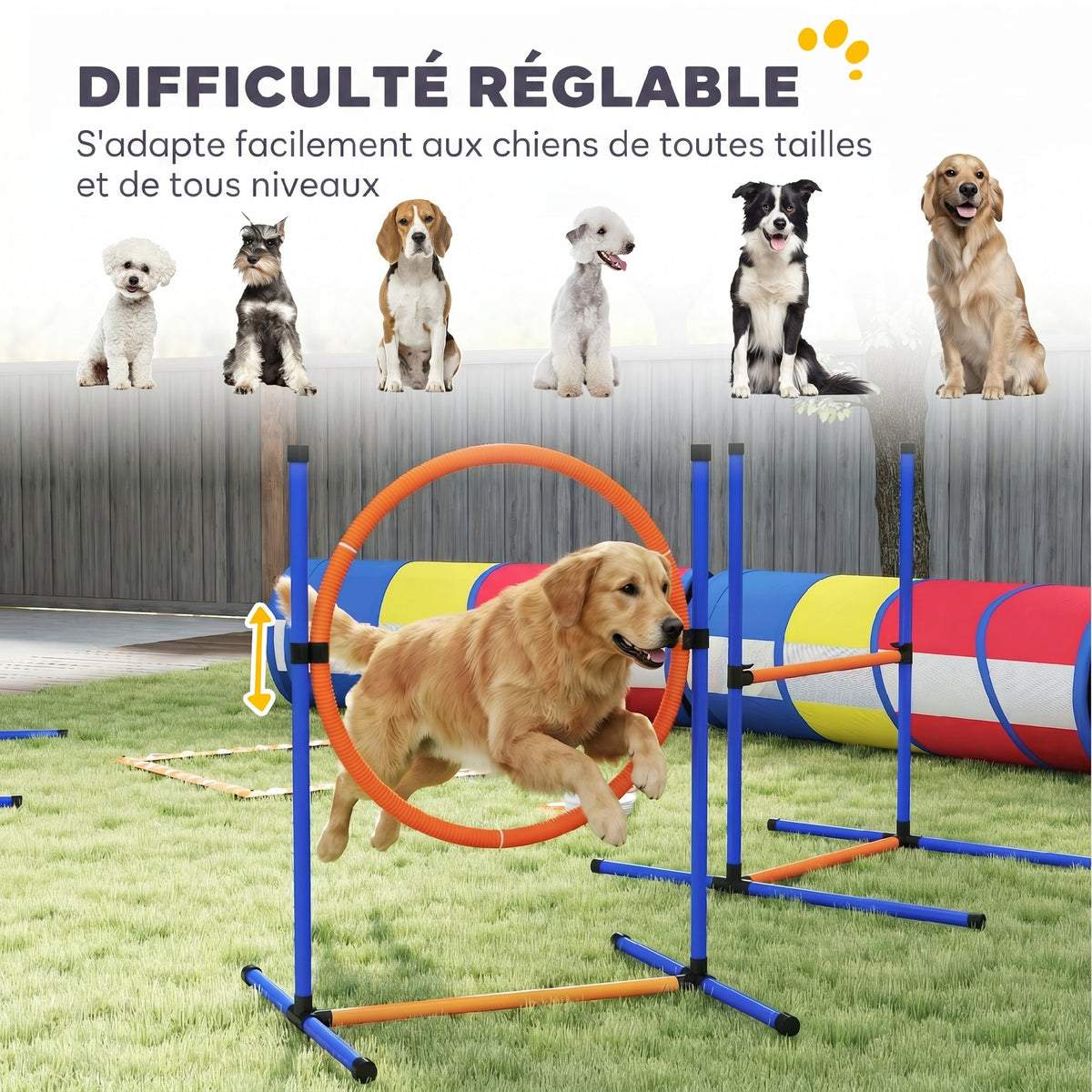 Équipement d'Agilité pour Chien 12 Pièces, 4 Tunnels, Sauts Ajustables, Anneau, Slaloms, 357x65x68cm, Multicolore