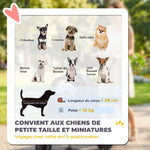 Poussette pour Chien Pliable, 4 Roues EVA, Fenêtres en Maille, Laisses de Sécurité, Coussin Amovible, 73x50x96cm, Gris