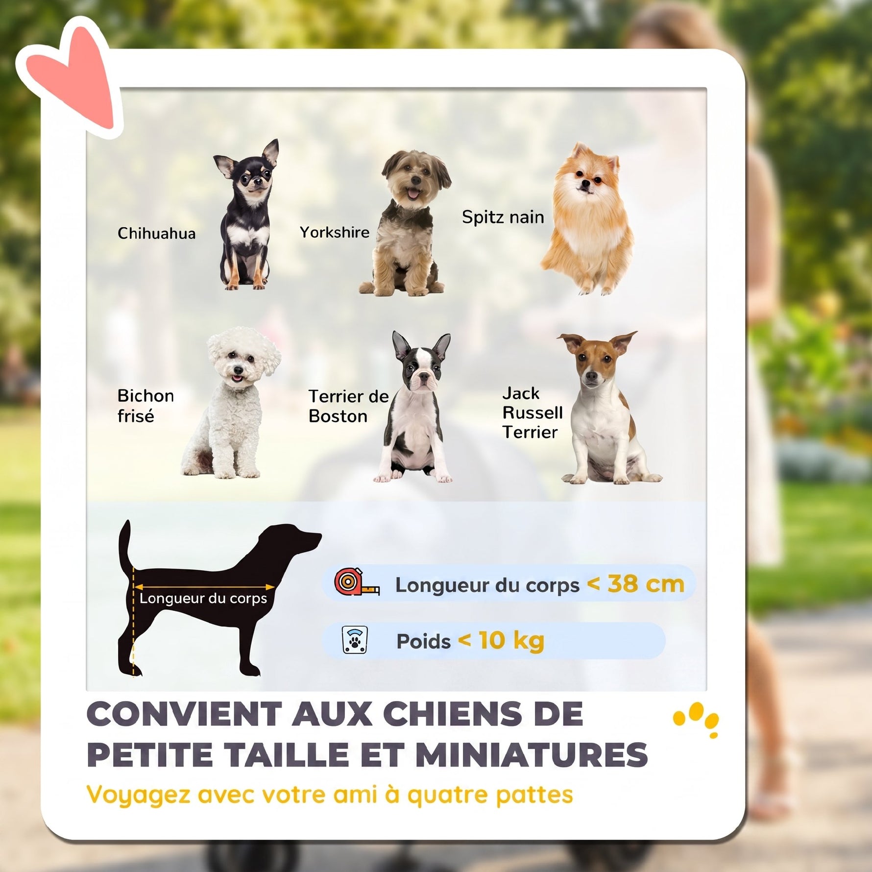 Poussette pour Chien Pliable, 4 Roues EVA, Fenêtres en Maille, Laisses de Sécurité, Coussin Amovible, 73x50x96cm, Gris