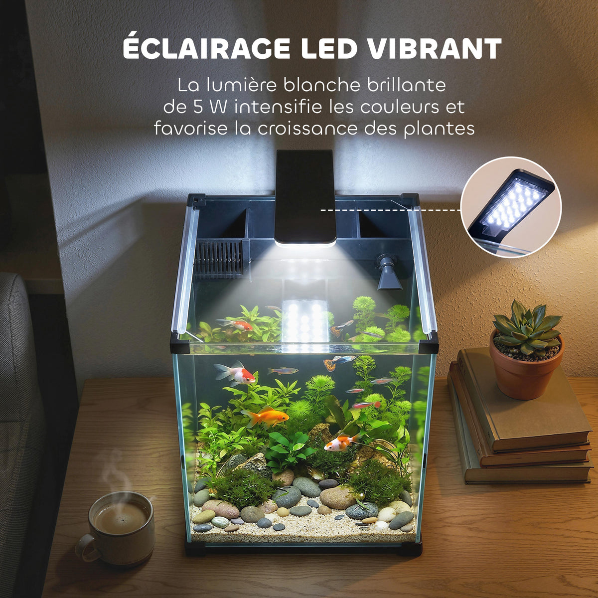 Aquarium en Verre Trempé Nano Aquarium avec Filtre Intégré Pompe 5W et Éclairage LED 30x30x45cm Noir
