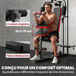 Station de Musculation Multifonction à Disques Libres, avec Banc Amovible, 136x107x205cm, Noir et Rouge