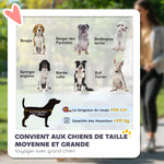 Poussette pour chien 3 roues avec pliage facile, sac de rangement, coussin souple, laisse de sécurité, gris