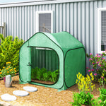 Mini serre pop-up petite serre légumes plante fleurs avec porte à fermeture éclair en PE 150 x 148 x 148 cm vert