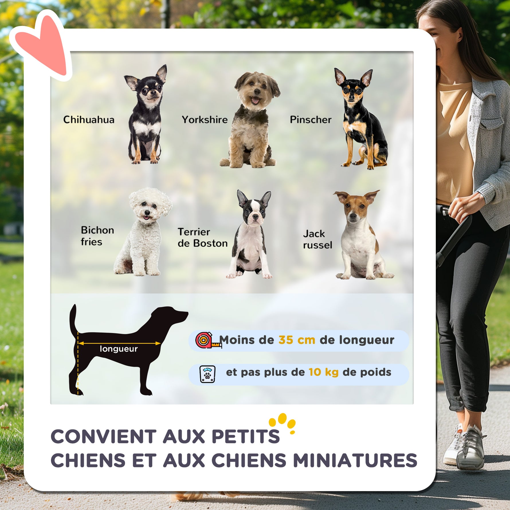 Poussette Buggy Pliable Animaux, Chariot Pliant Chien Chat, Porte-Gobelet Panier de Rangement Inclus, Roues avec Frein, Tissu 600D Oxford Acier, 75 x 45 x 97 cm Marron