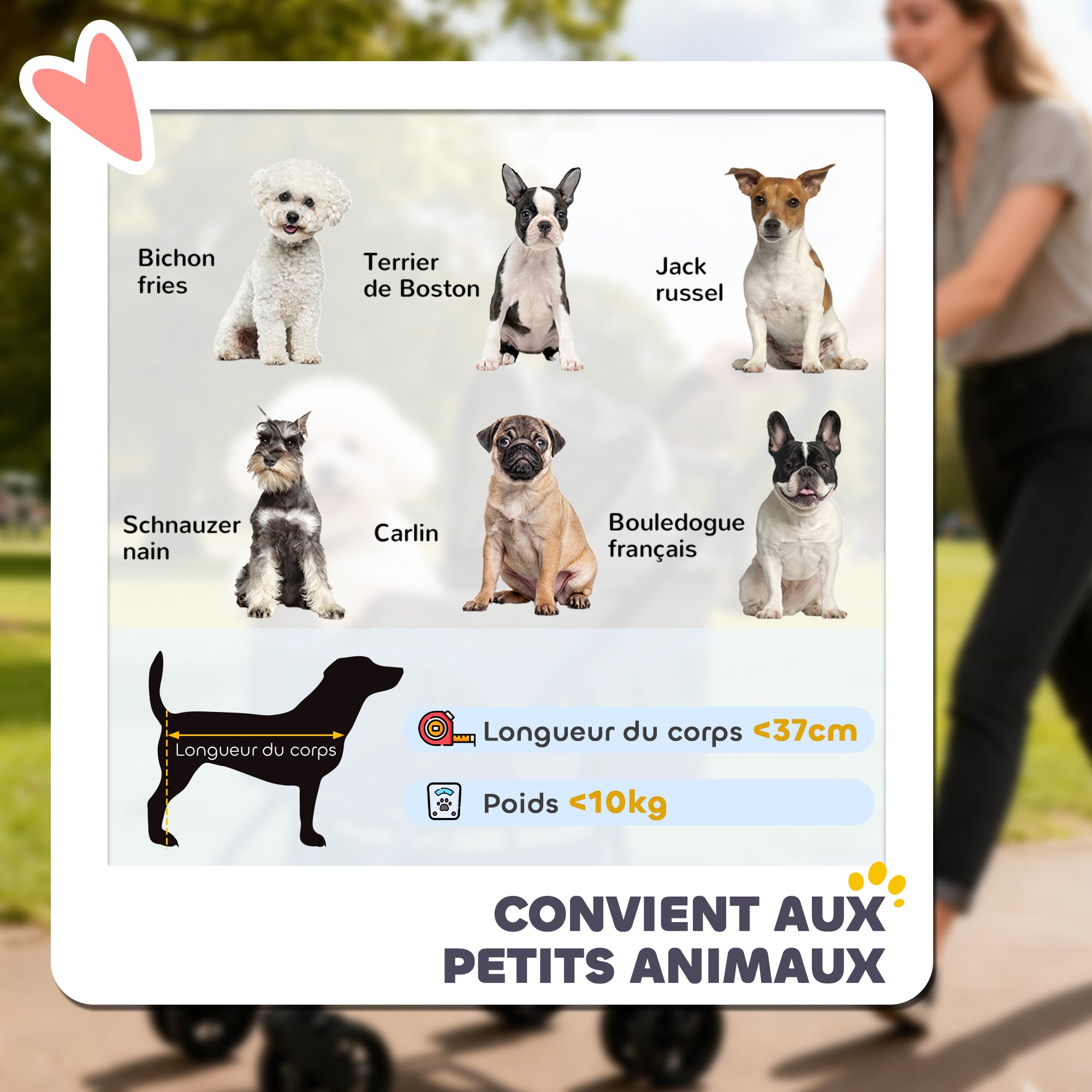 Poussette pour Chien Pousse-Chien 3 en 1 Détachable Pliable Nacelle Amovible et Sans Fermeture Éclair Suspension Gris