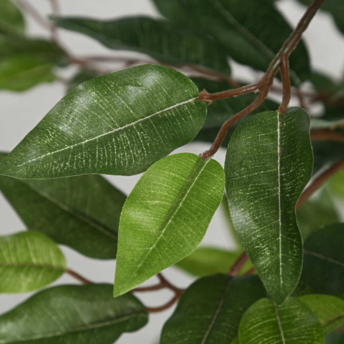 Arbre Artificiel Plante Artificiel ficus Hauteur 1,5 m Tronc Branches Liane Lichen Feuilles Grand réalisme Pot Inclus