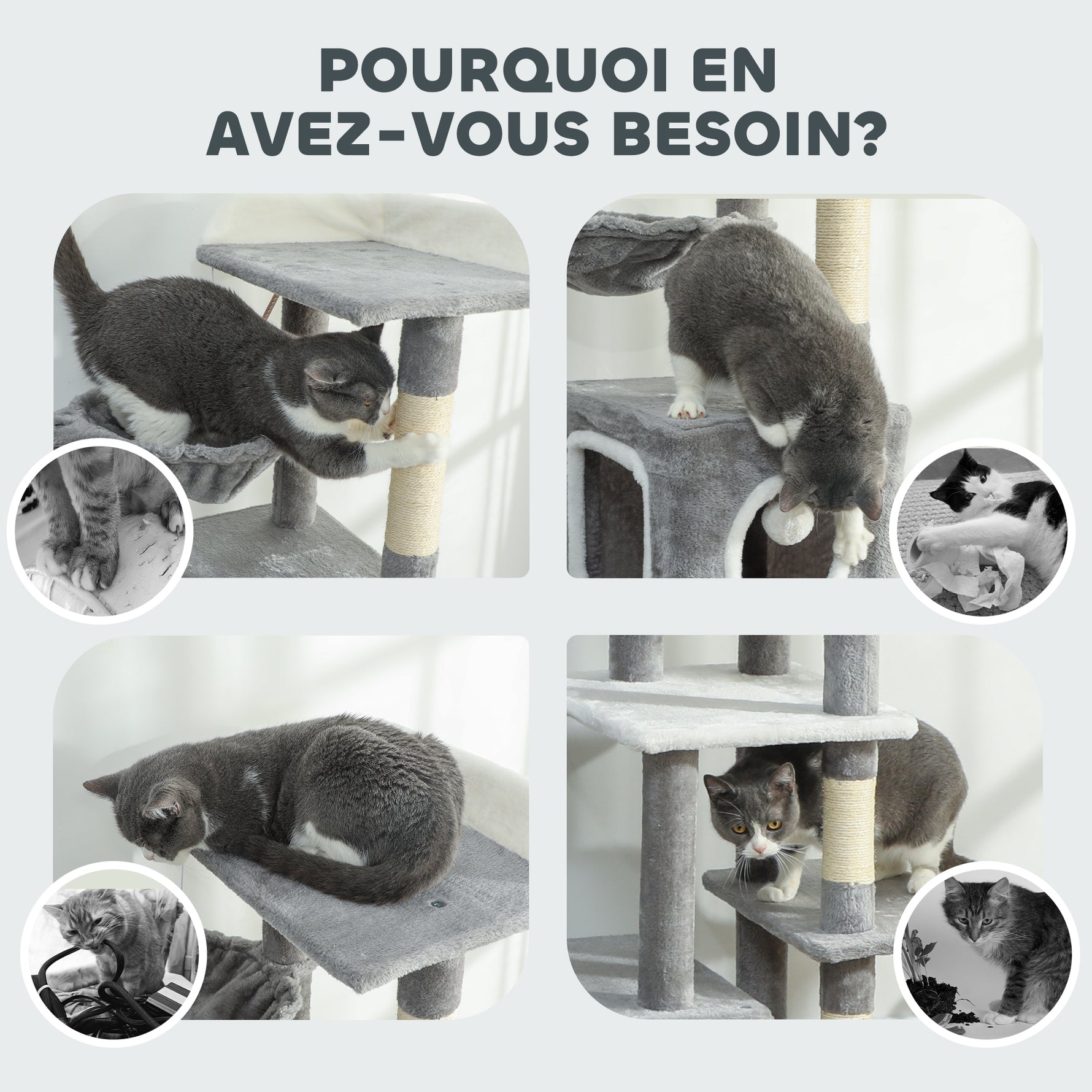 Arbre à chat tour de jeux pour chats centre d'activités 2 niches plateformes hamac échelle et 4 pompons 165 cm gris