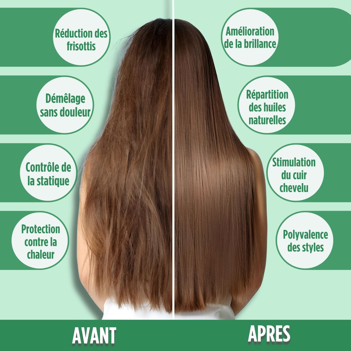 Texte alternatif de l'image