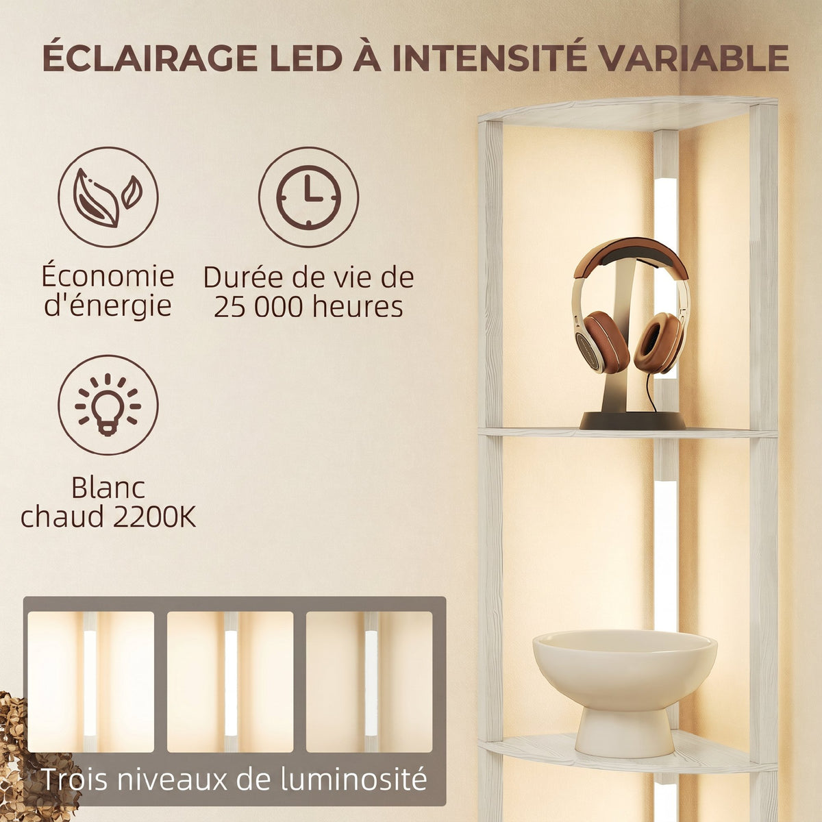 Lampadaire sur Pied Salon, Lampadaire avec Étagères d'Angle à 4 Niveaux, Lampe LED Dimmable, 41x29,5x163,5cm, Chêne