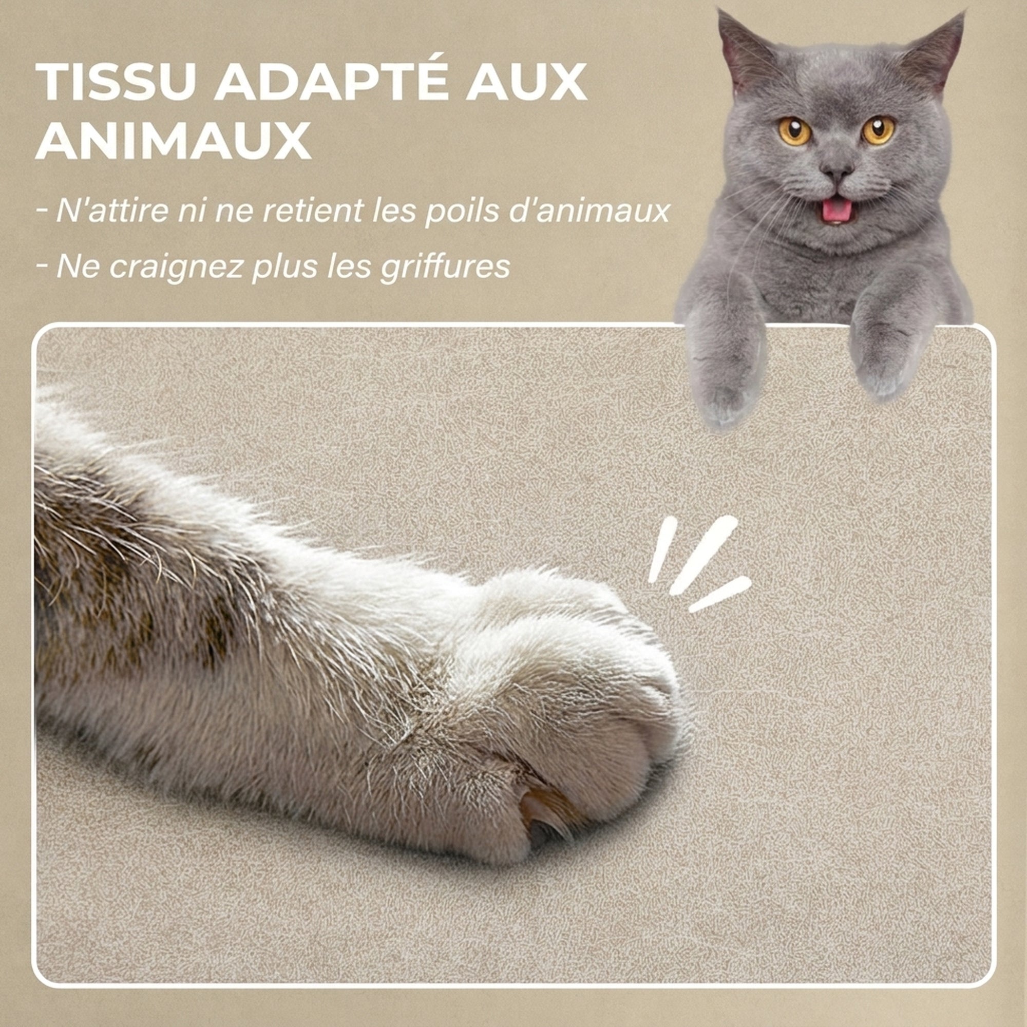 Texte alternatif de l'image
