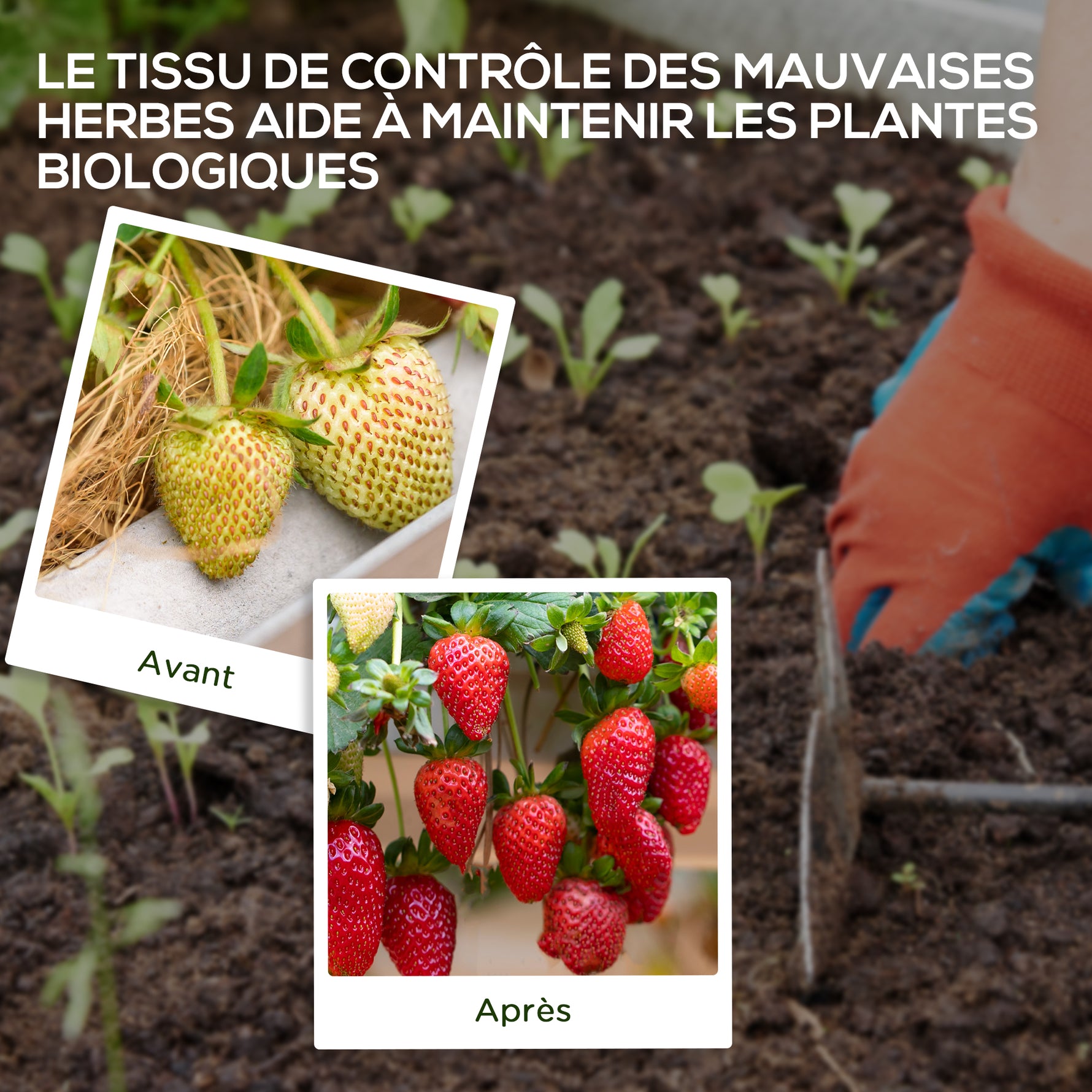 Toile de paillage géotextile de paillage contre les mauvais herbes 100 x 2 m résistant aux déchirures polypropylène noir
