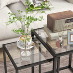 Lot de 2 tables basse gigogne, tables d'appoint empilable, plateau verre trempé cadre acier, patins antidérapants, noir