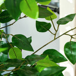 Lot de 2 plantes artificielles ficus hauteur 1,50 m tronc branches liane lichen feuilles grand réalisme pot inclus vert