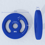 Lot de 2 plaques de poids 2 x 3 kg disques d'haltères pour barres Ø 2,5 cm avec poignées faciles à saisir en métal, bleu