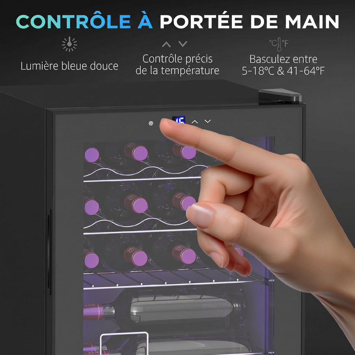 Cave à vin 16 bouteilles 42L, réfrigérateur à vin et boissons avec température réglable 5-18°C, porte en verre, noir