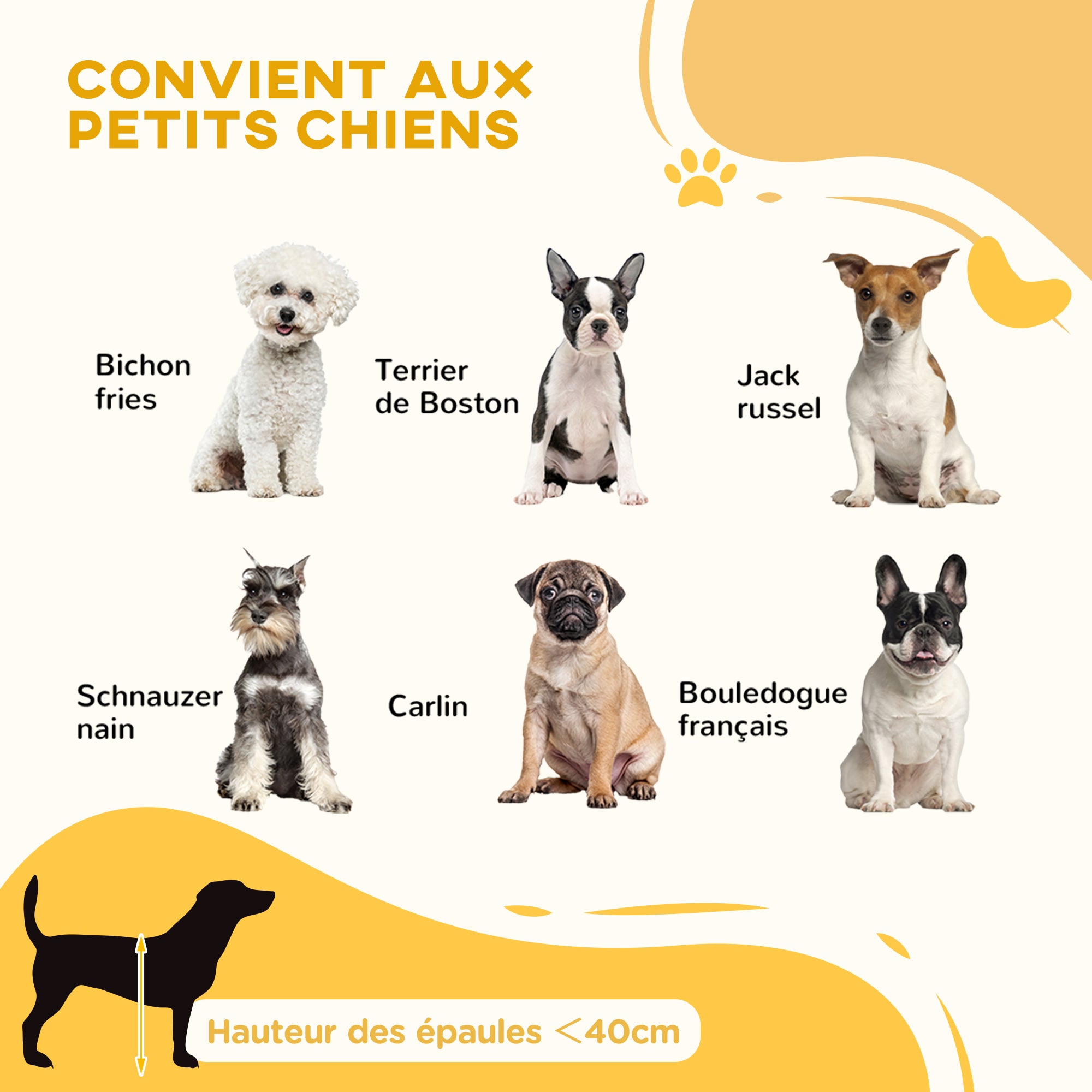 Texte alternatif de l'image