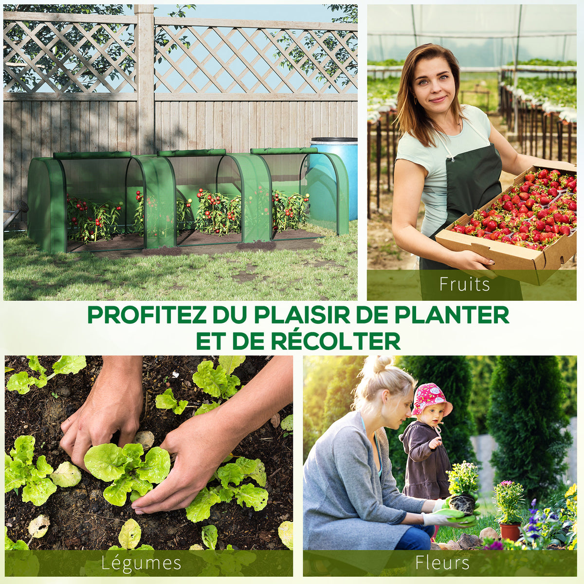 Mini Serre de Jardin Serre à tomates 3L x 1l x 0,8H m Acier PE Haute densité 140 g/m² Anti-UV 3 fenêtres Vert
