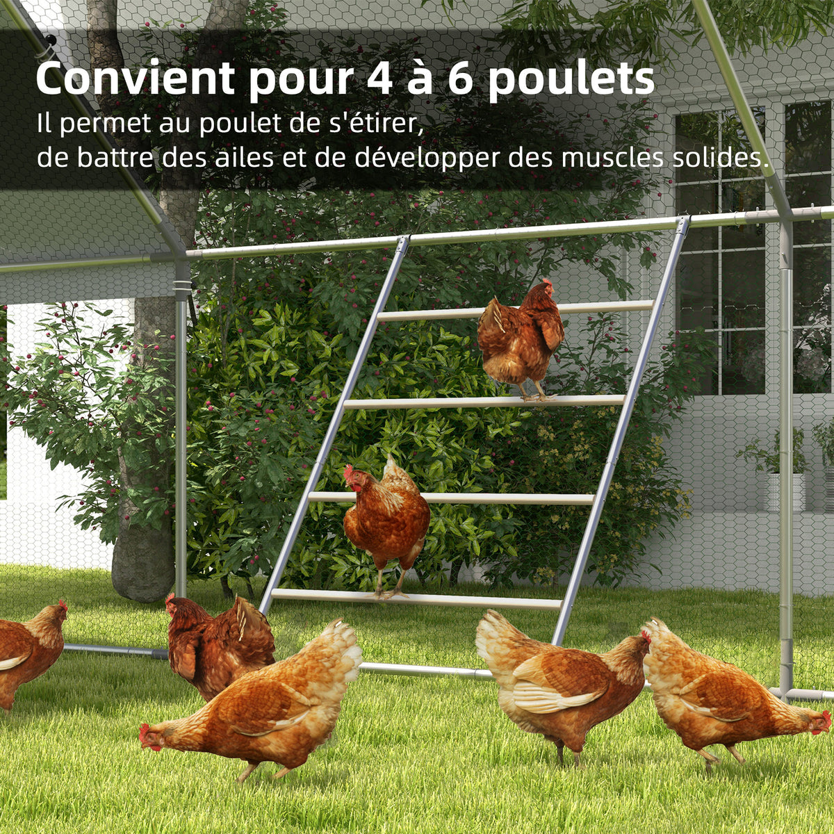 Grand perchoir échelle pour poules 4 niveaux avec barreaux en bois et structure métal 140 x 86 x 2,5 cm argent naturel