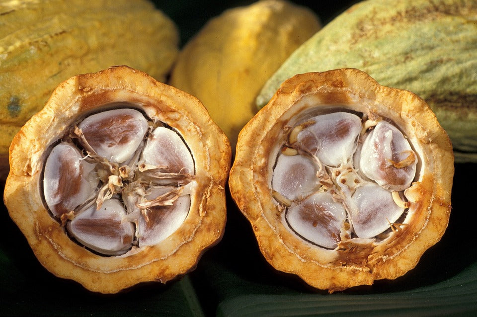 Beurre Corporel Bio au Cacao 200ml – Emballage 100% Recyclé