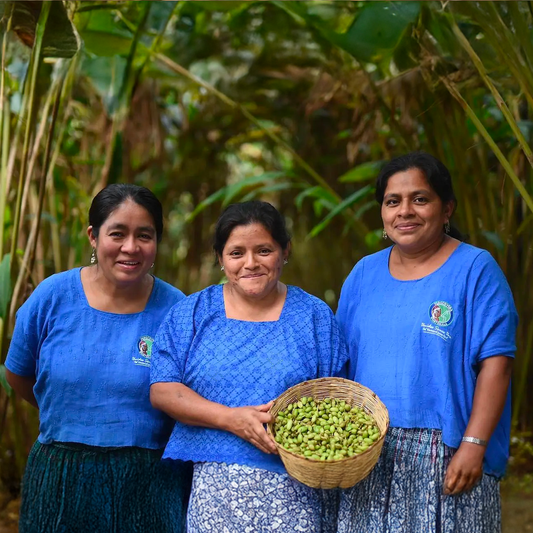 Kekchi - Café du Guatemala BIO