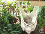 camoapa photo client 1