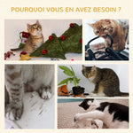 Arbre à chats multi-équipements griffoirs grattoirs plateformes niche jeu boule suspendue Ø 48 x 104H cm crème