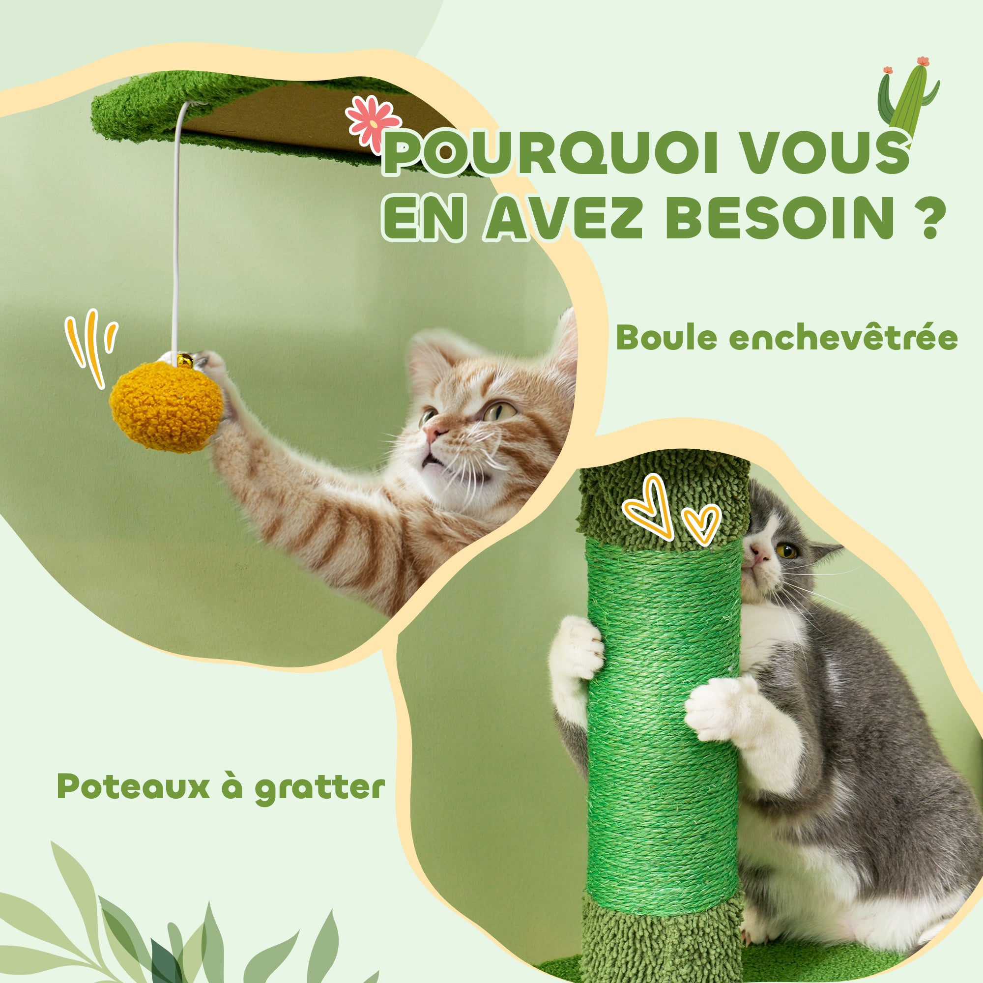 Texte alternatif de l'image