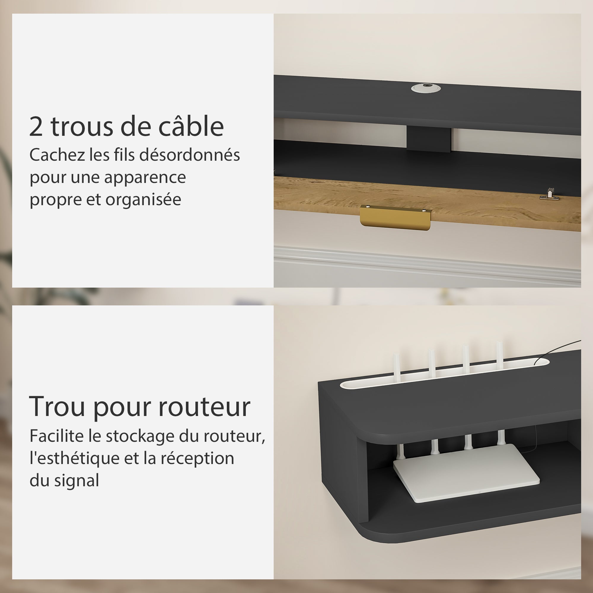 Texte alternatif de l'image