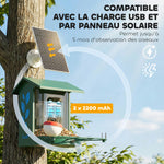 Mangeoire à Oiseaux avec Caméra 2K Solaire 2,5L 142°, Identification IA 16000+, App, IP65, SD 32 Go, 30x34,5x26,3cm Vert