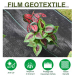 Toiles de Paillage - Toile anti Mauvaises Herbes - Toile de Paillage anti Mauvaises Herbes 100 g/m² - Indéchirable Perméable à l'Eau anti UV dm. 50L x 1l m- PP Noir Vert