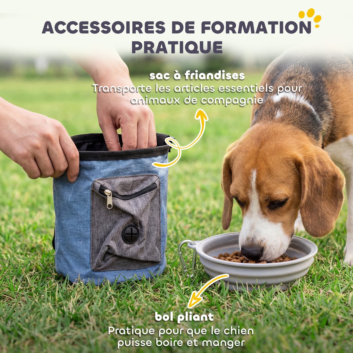 Ensemble d'Agilité pour Chien 11 Pièces, Parcours d'Obstacle avec 2 Tunnels, Sauts Ajustables, Orange et Bleu