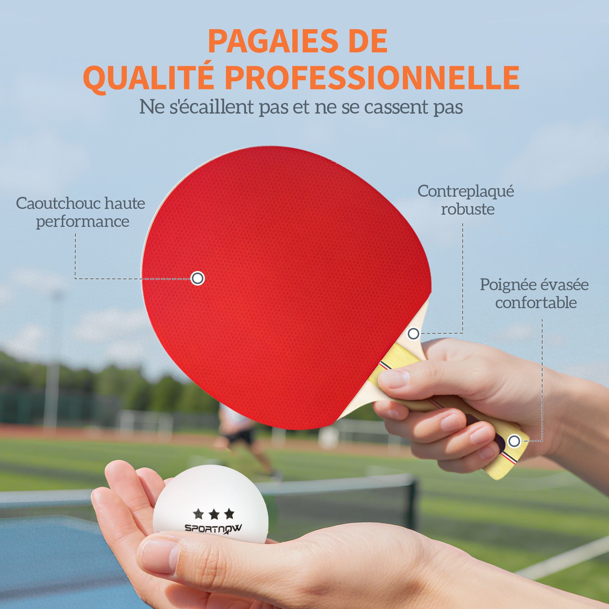 Texte alternatif de l'image