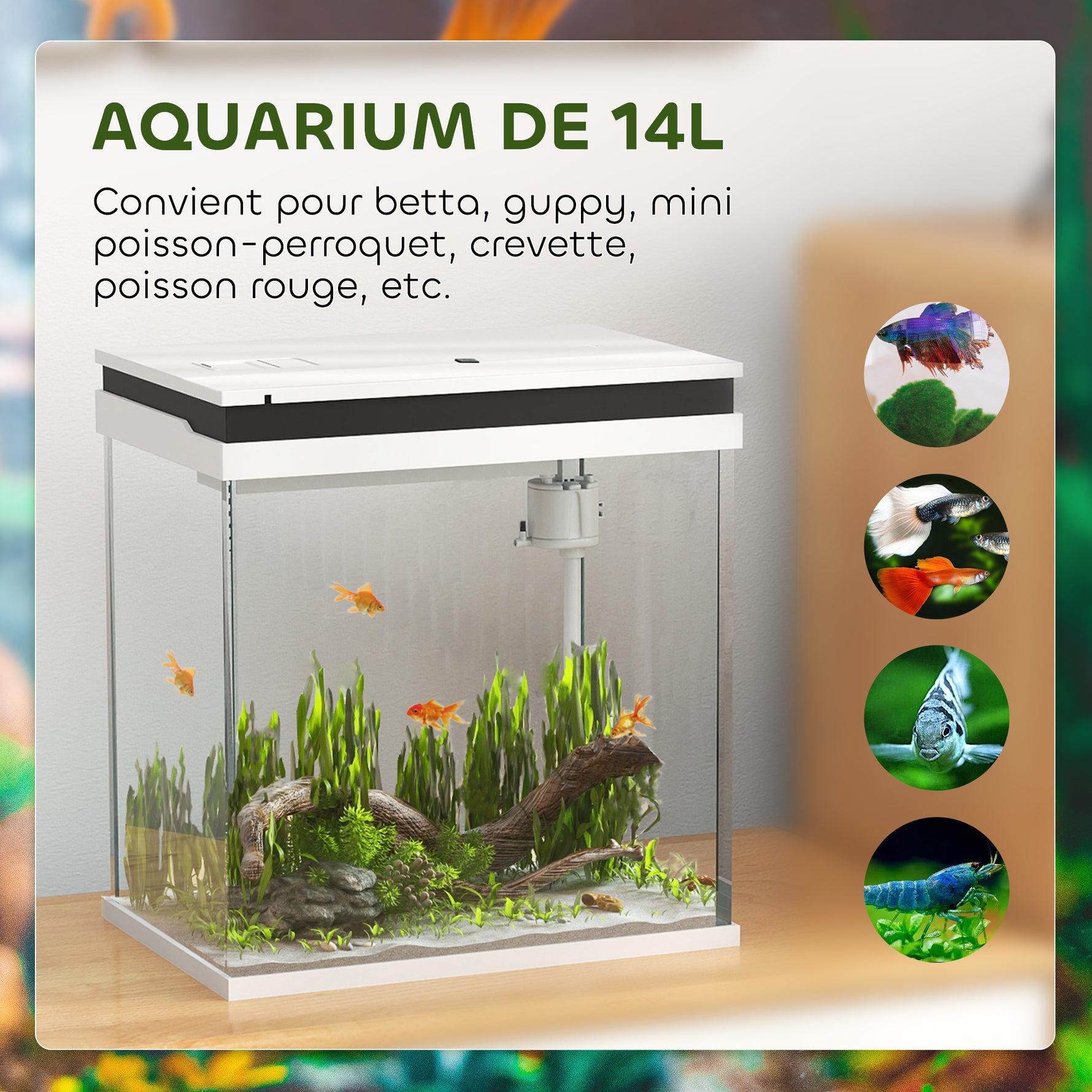 Petit aquarium complet 14L aquarium en verre avec système de filtration éclairage LED pompe à eau 30 x 20 x 33 cm blanc