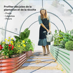 Serre de Jardin Tunnel 6 m² 3L x 2l x 2H m châssis Tubulaire renforcé Porte zippée 2 fenêtres enroulables - transparent
