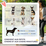 Poussette Buggy Pliable Animaux, Chariot Pliant Chien Chat, Porte-Gobelet Panier De Rangement Inclus, Roues Avec Frein, Tissu 600D Oxford Acier, 75 x 45 x 97 cm Gris