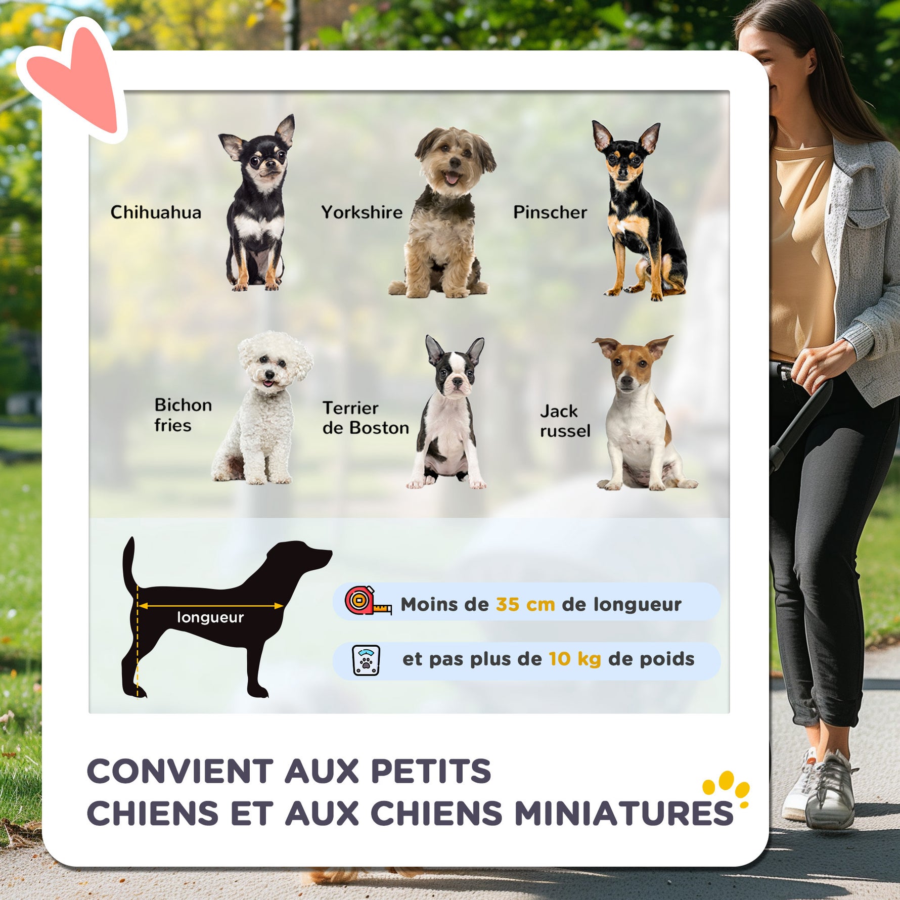 Poussette Buggy Pliable Animaux, Chariot Pliant Chien Chat, Porte-Gobelet Panier De Rangement Inclus, Roues Avec Frein, Tissu 600D Oxford Acier, 75 x 45 x 97 cm Gris