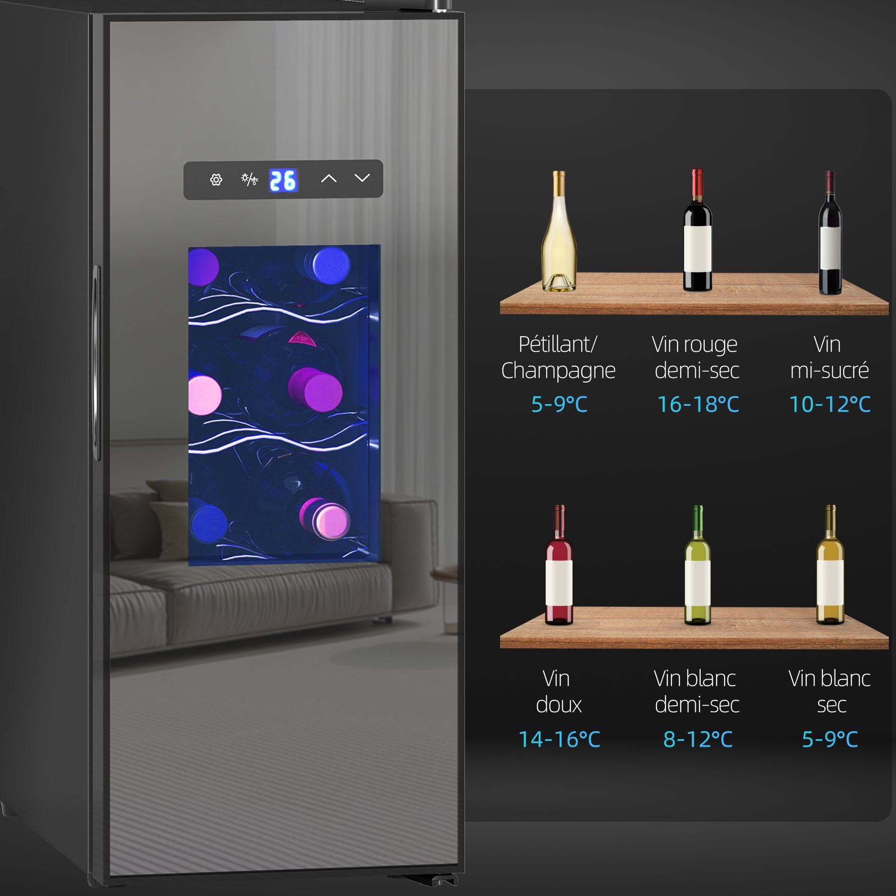 Cave à vin 12 bouteille 30L thermoélectrique double et silencieux avec porte en verre, LED, écran numérique, noir