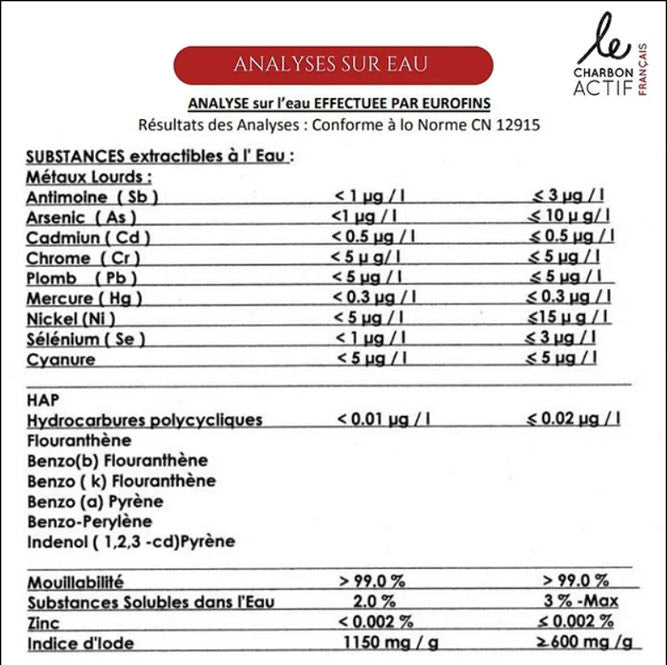 Lot de 2 ou 4 Filtres à gourde nomades, gourde filtrante