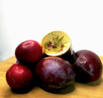 VOLUPTE CREAM OF ORGANIC PRODUCTS - Skin Care for Breast Beauty