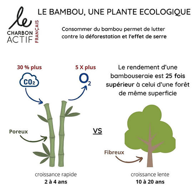 X3 Charbons de bambou 100% français filtre à eau