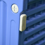 Lot de 2 niches pour chien extérieure en plastique maison pour chiens avec bouches d'aération bleu et blanc