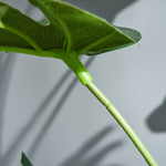 Plante artificielle modèle Monstera avec 21 feuilles en pot ciment, intérieur ou extérieur, dim. Ø16 x 100H cm