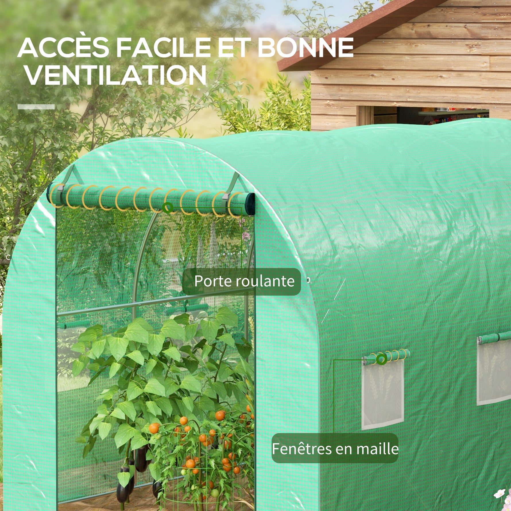 Serre de Jardin Tunnel 6 m² avec système d'arrosage intégré, 3L x 2l m 6 fenêtres Porte enroulable Vert