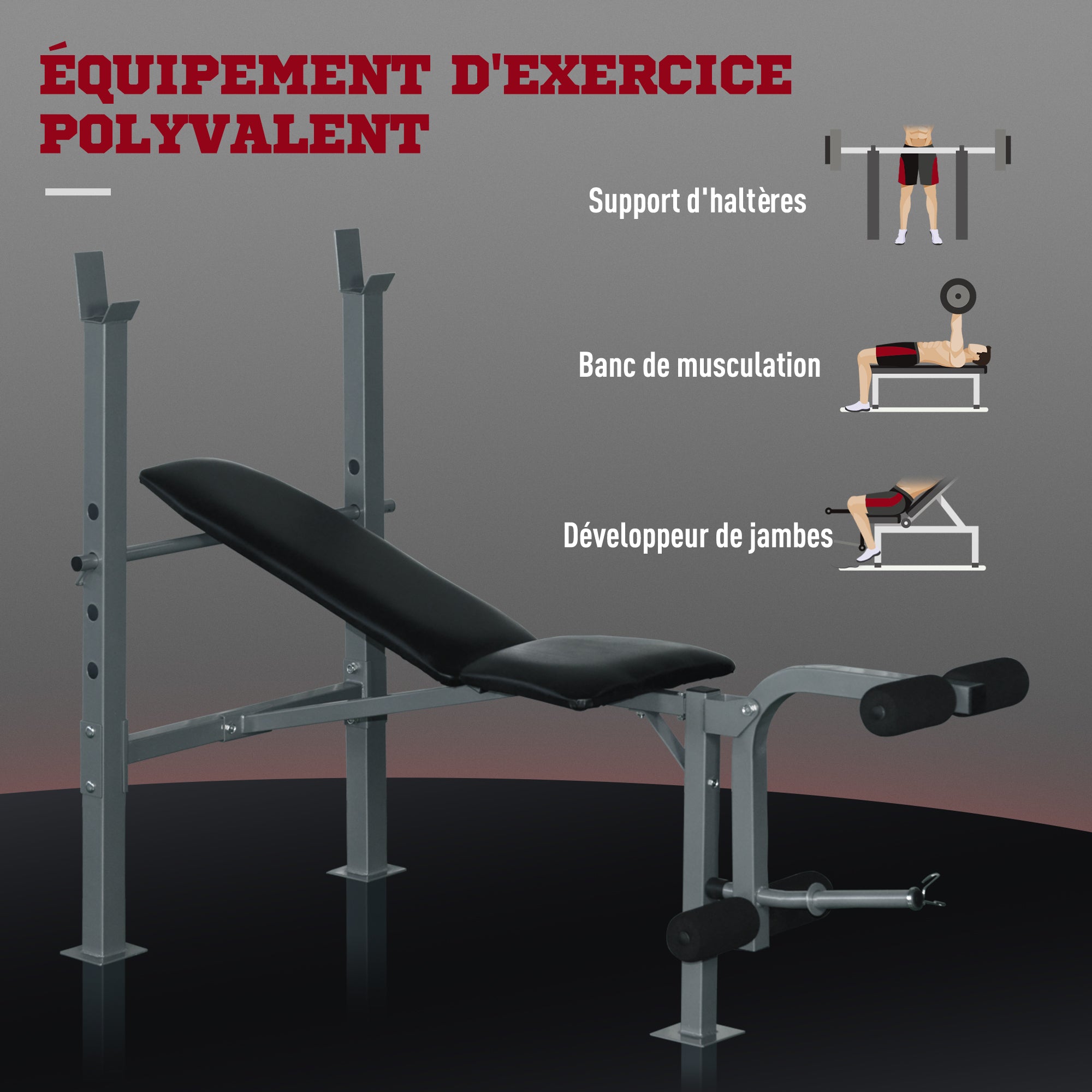 Lot de banc de musculation et haltères courtes total 25 Kg - dossier réglable haltères à poids réglable barres incluses